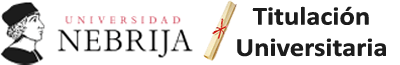 Curso online INDIZE FPDP